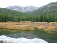 On Clack Creek Trail